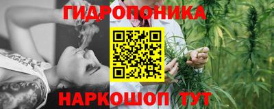 гидропоника Ипатово