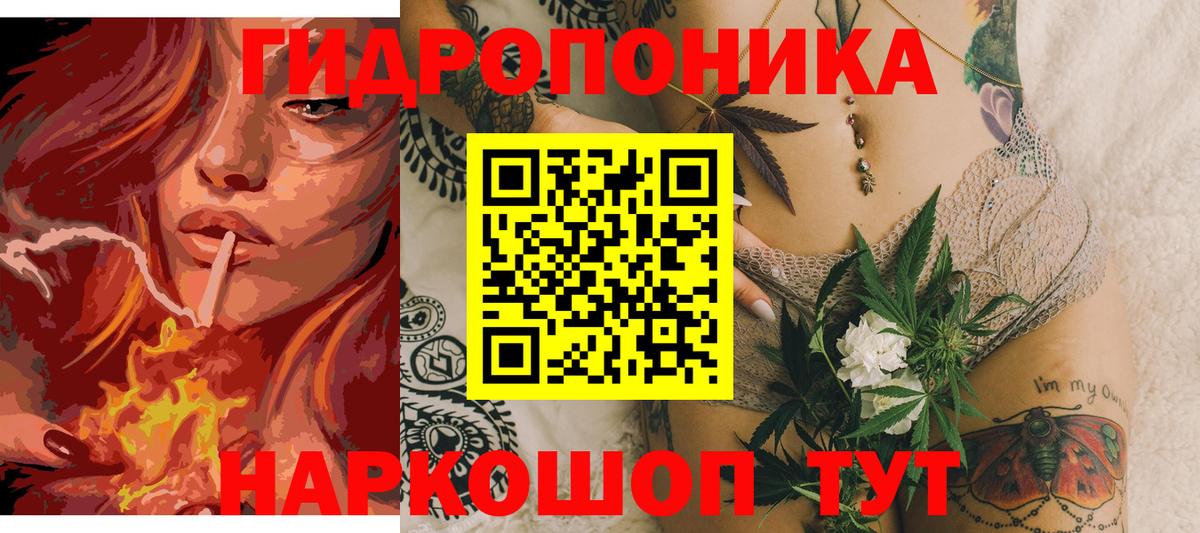 Каннабис Bruce Banner  Вход с VPN  Гусиноозёрск  Канабис план 